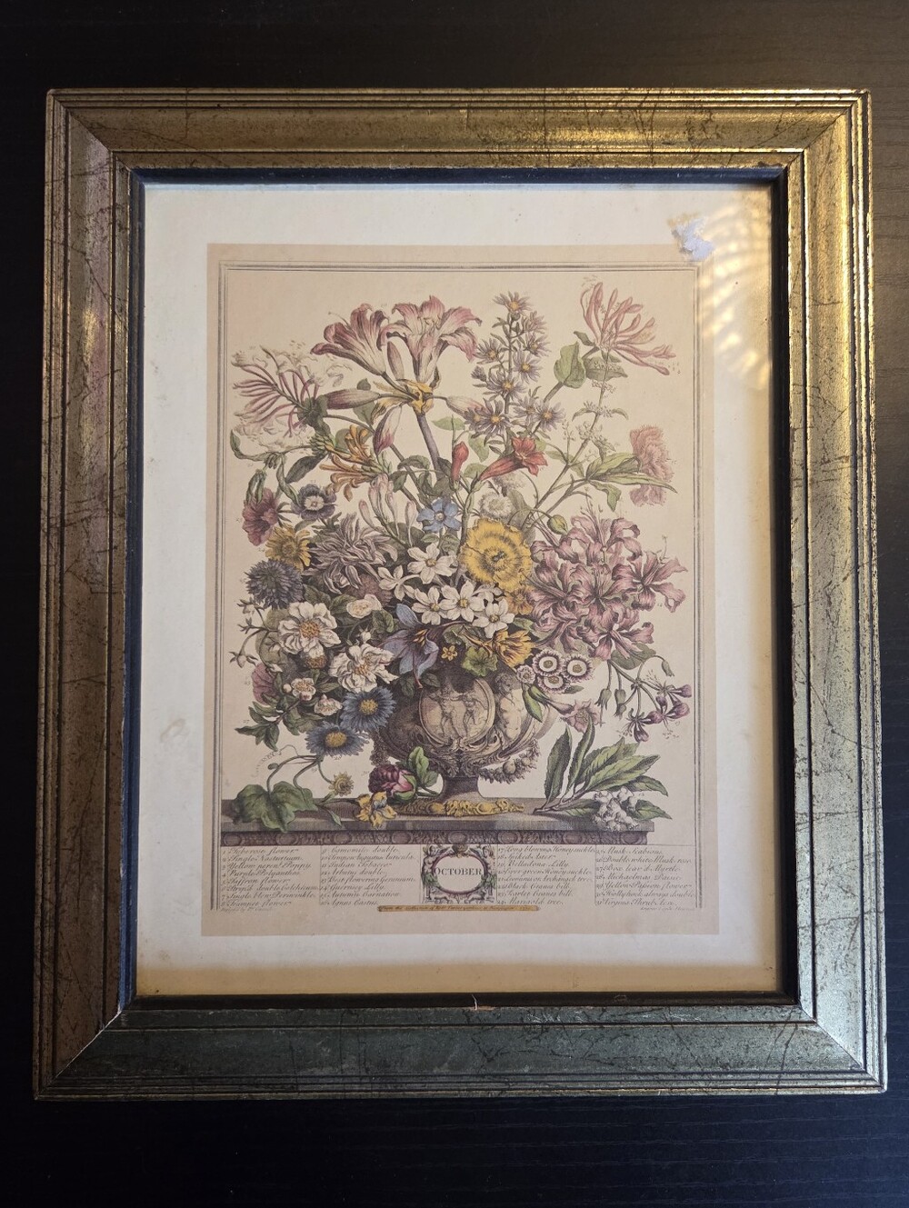 Robert Furber Framed Vintage Botanical Print "October
